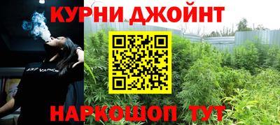 сатива Севастополь
