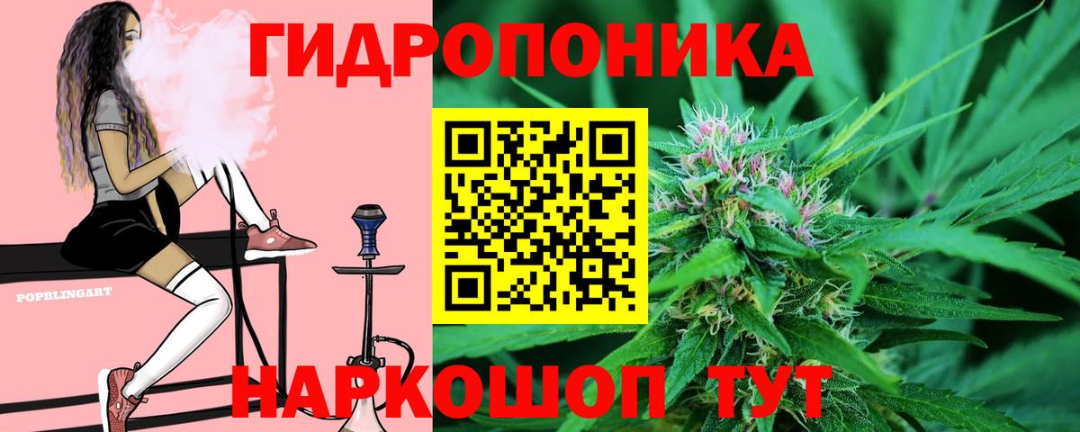 Конопля Amnesia  Каннабис AK-47  Карасук  Вход с VPN 